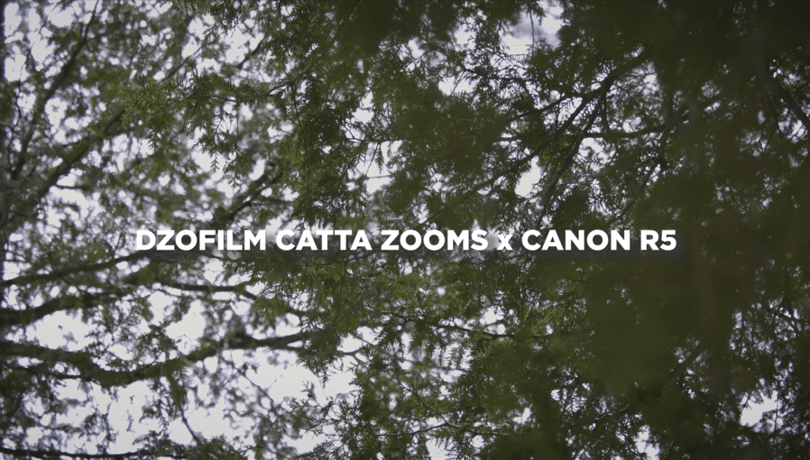 CATTA ZOOM × CANON R5—— Review from Viva Media